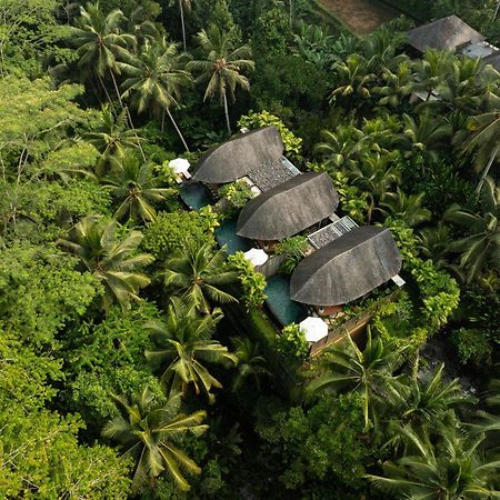Abisena Wellness & Resort Ubud-Adult Only Exteriör bild